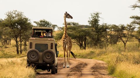 White Sand Beaches, Crater Safaris And More: 8 African Countries That Promise Warm & Toasty Winter