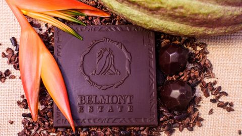 From Bean To Bar: Embark On The Ultimate Chocolate Journey