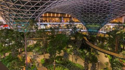 Hamad International Airport Becomes an Orchard With Curated, Sustainable and Green Concourse