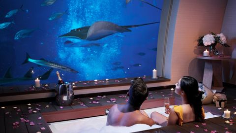 Lavish Stays, Award-Winning Dining and Thrilling Adventures Await at Resorts World Sentosa