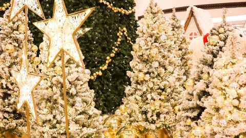 10 Most Expensive Christmas Trees Around The World That You Can Check Out